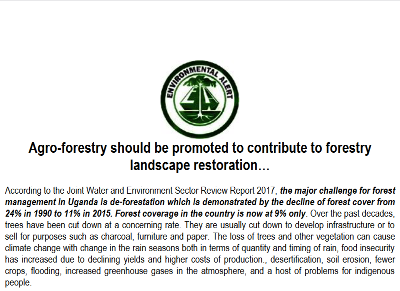 Agro-forestry should be promoted to contribute to forestry landscape restoration.fw